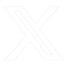 Twitter Icon